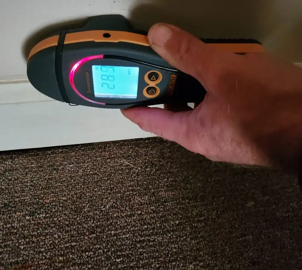 Moisture detection at baseboard during Sewage Cleanup & Sanitation in Carrollton